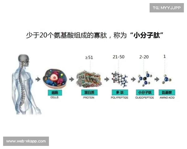 日本松元克央蝶泳陆训体系公开 核心肌群负荷算法获得专利保护 日本松元克央蝶泳陆训体系公开 核心肌群负荷算法获得专利保护